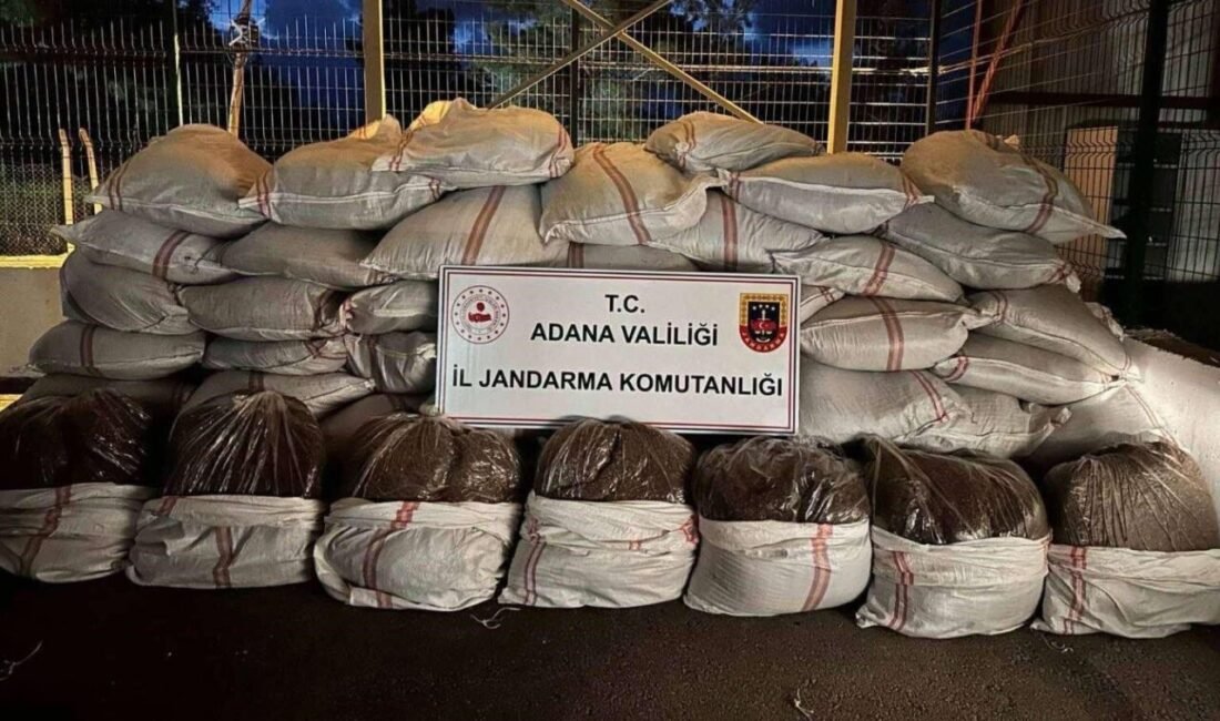Adana’da 3 ton 100 kilo kaçak tütün ele geçirildi. İl