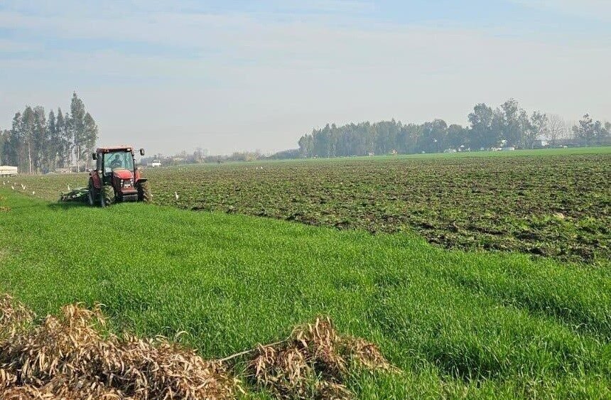 Mersin’in Tarsus ilçesinde 9 bin yıllık geçmişe sahip Regma Gölü