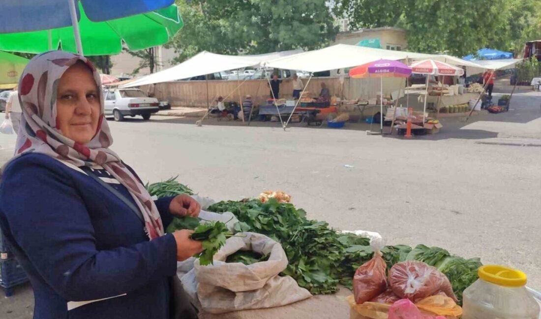 Kahramanmaraş’ta 5 çocuk annesi,bahçesinden topladığı asma yapraklarını satarak aile ekonomisine