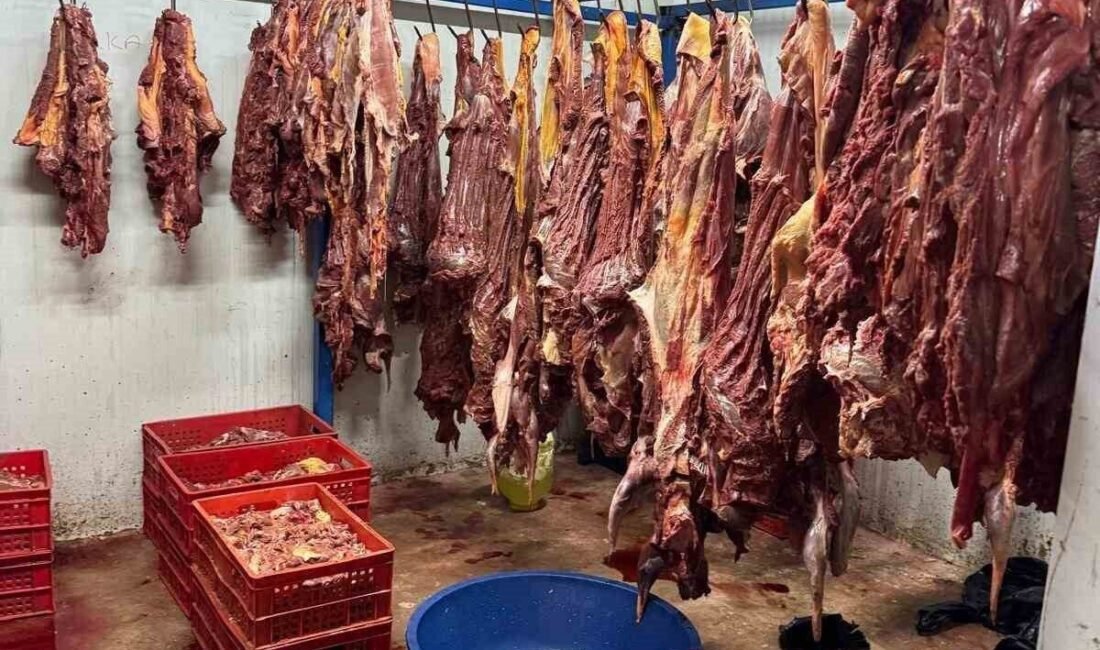 Adana jandarma ekipleri tarafından, tek tırnaklı hayvana ait olduğu belirlenen