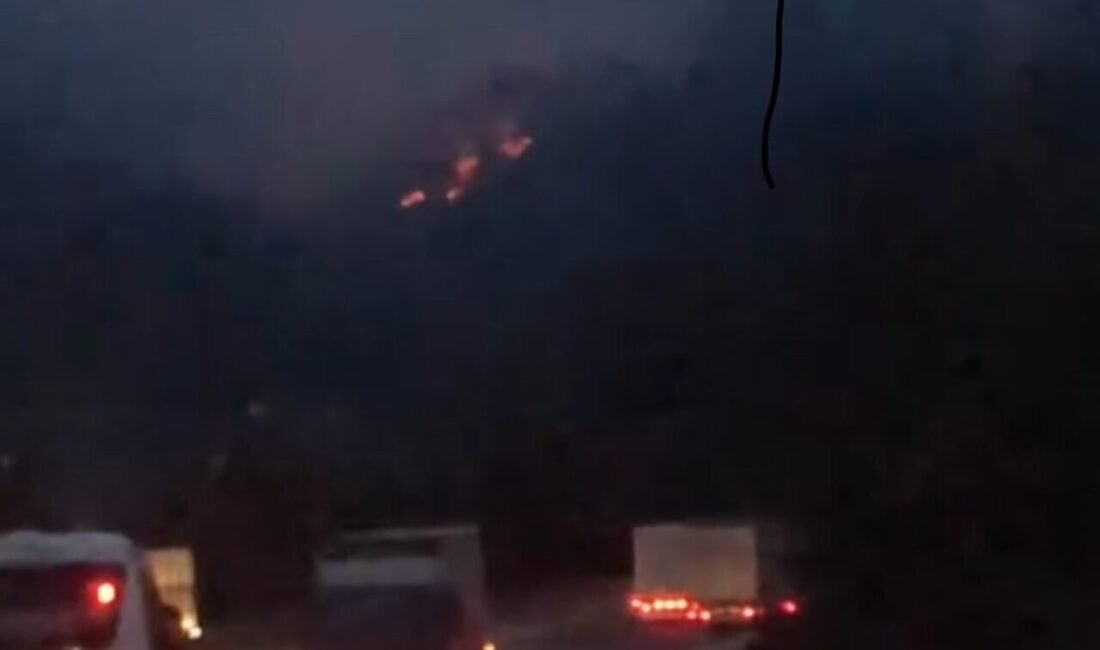 Adana’da iki ayrı noktada çıkan orman yangını kontrol altına alındı.