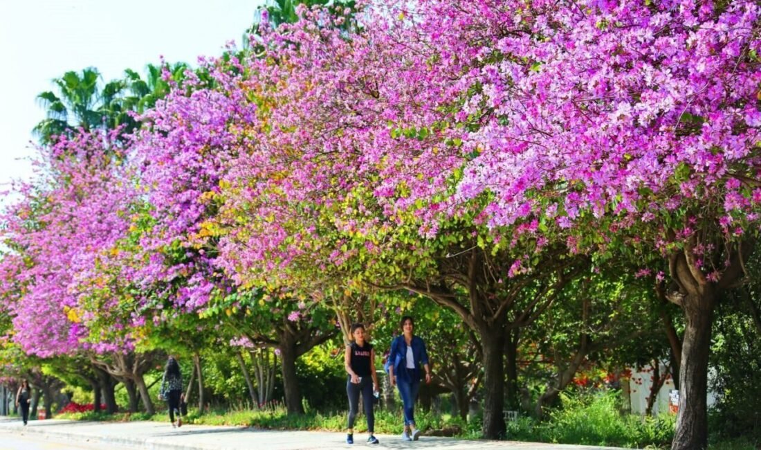 27 yıldır çevre alanında düzenlenen etkinliklerin başında gelen Akdeniz Üniversitesi