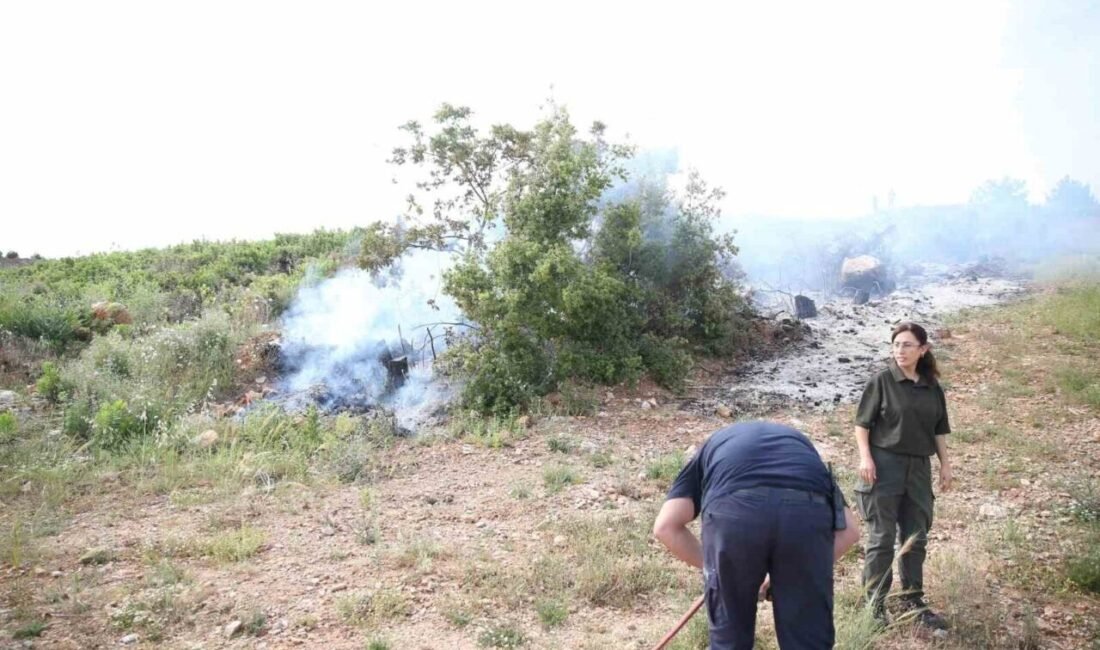 Antalya’nın Alanya ilçesinde makilik alanda çıkan yangın, ekiplerin hızlı müdahalesi