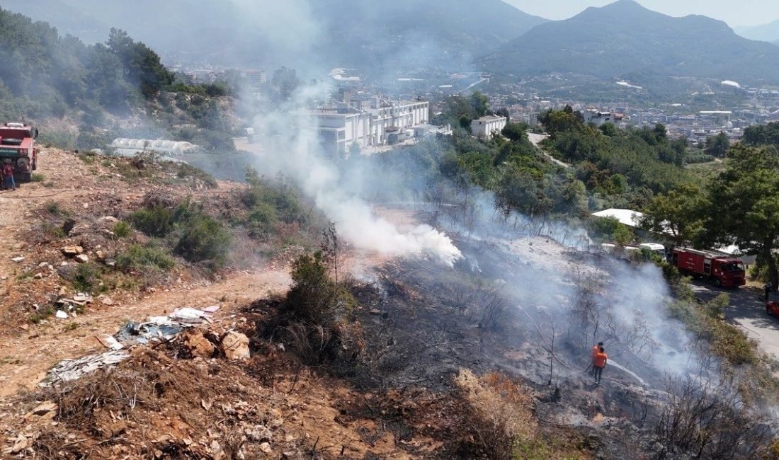 Antalya’nın Alanya ilçesinde makilik alanda çıkan yangın ormanlık alana sıçramadan