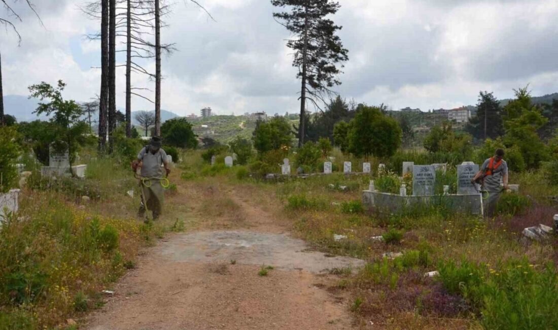 Antalya Büyükşehir Belediyesine bağlı ekipler Antalya merkez ve diğer ilçelerde