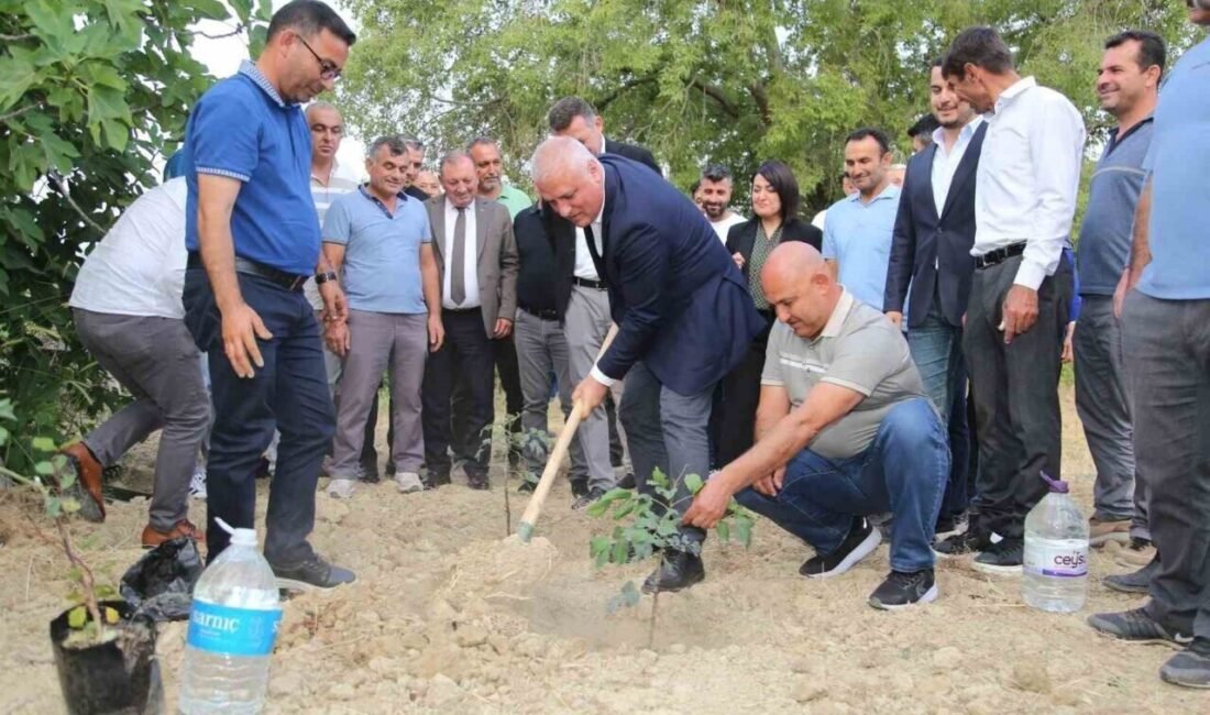 Alanya Ticaret ve Sanayi Odası’nın (ALTSO) girişimleri ile keçiboynuzunun coğrafi
