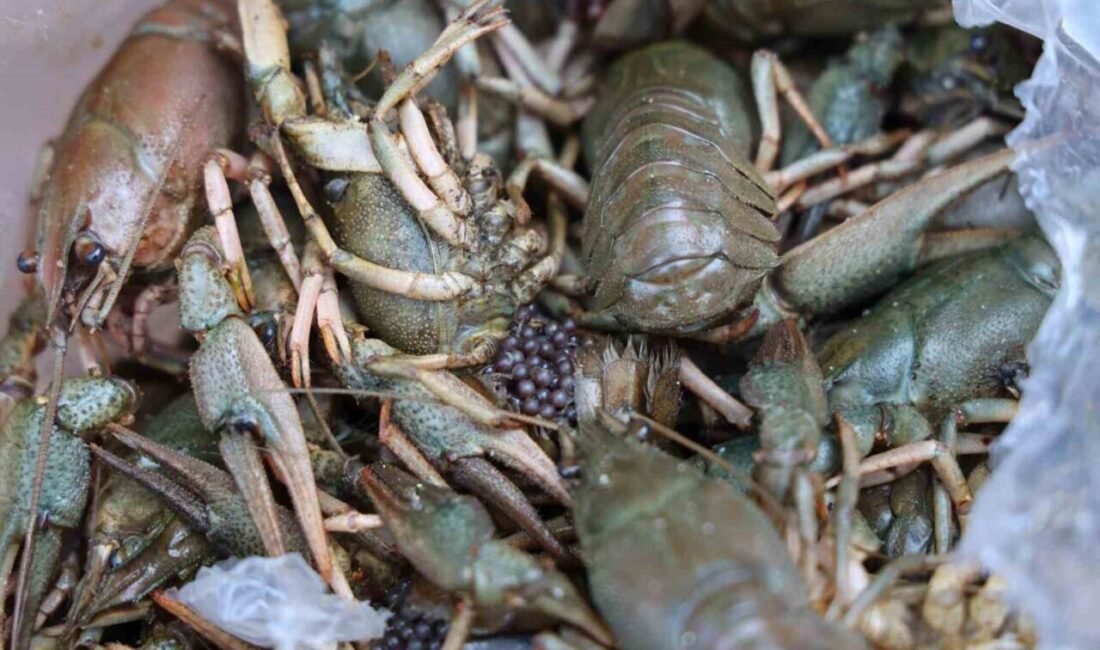 Antalya Büyükşehir Belediyesi zabıta ve güvenlik ekipleri, Otobüs terminalinde yaptığı