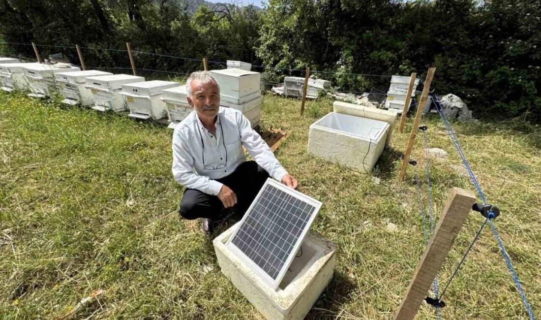 ANTALYA (İHA) – Antalya’da arıcılar arı kovanlarına dadanan ayılar nedeniyle