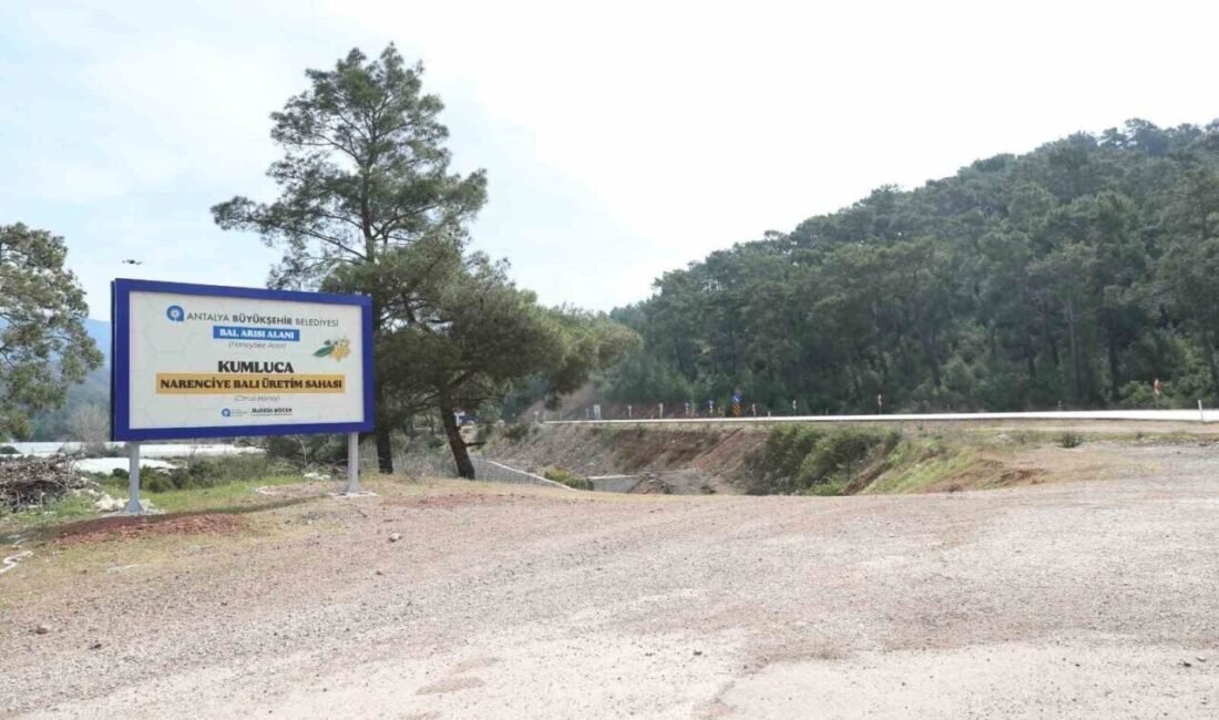 Antalya Büyükşehir Belediyesi, narenciye balı için coğrafi işaret tescil çalışması