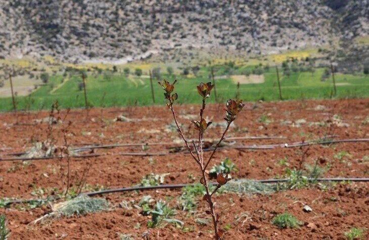 Küresel iklim değişikliğinin etkileriyle kırsal bölgelerden şehre göçler, yeni tarımsal