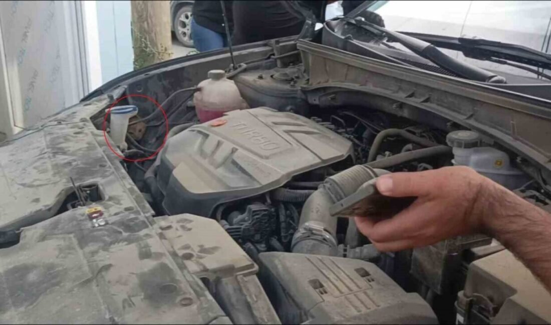 Hatay’da park halindeki bir aracın motor kısmına giren yavru kedi,