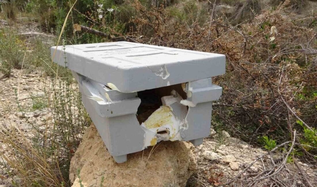 Mersin’de bazı şahısların izinsiz girdikleri arılıktaki kovanlara taş atarak zarar