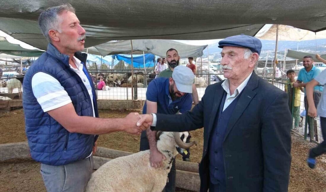 Kurban Bayramı’na sayılı günler kala hayvan pazarlarında hareketlilik başladı. Mersin’de