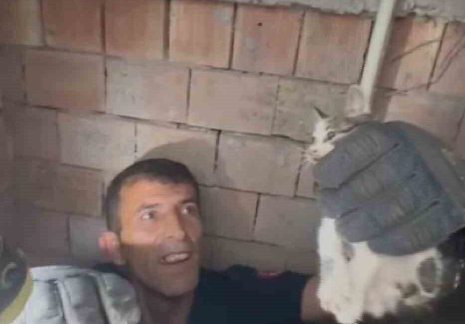 Hatay’da apartmanın havalandırma boşluğuna düşen yavru kedi itfaiye ekiplerince kurtarıldı.