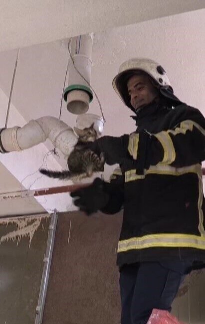 Hatay’ın Reyhanlı ilçesinde boru içinde mahsur kalan yavru kediyi, itfaiye