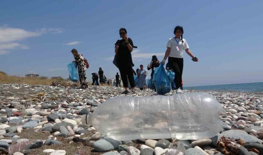 Dünyada deniz kaplumbağalarının en önemli üreme alanlarından biri olan Mersin’in