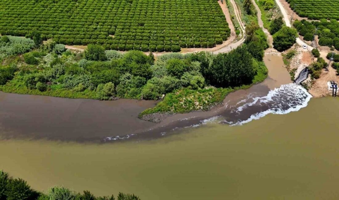 ADANA (İHA) – Çukurova’nın verimli topraklarına can suyu olan Ceyhan