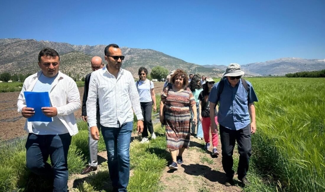 Akdeniz Üniversitesi, Almanya, İtalya, Portekiz ve Avrupa Birliği (Erasmus+) iş