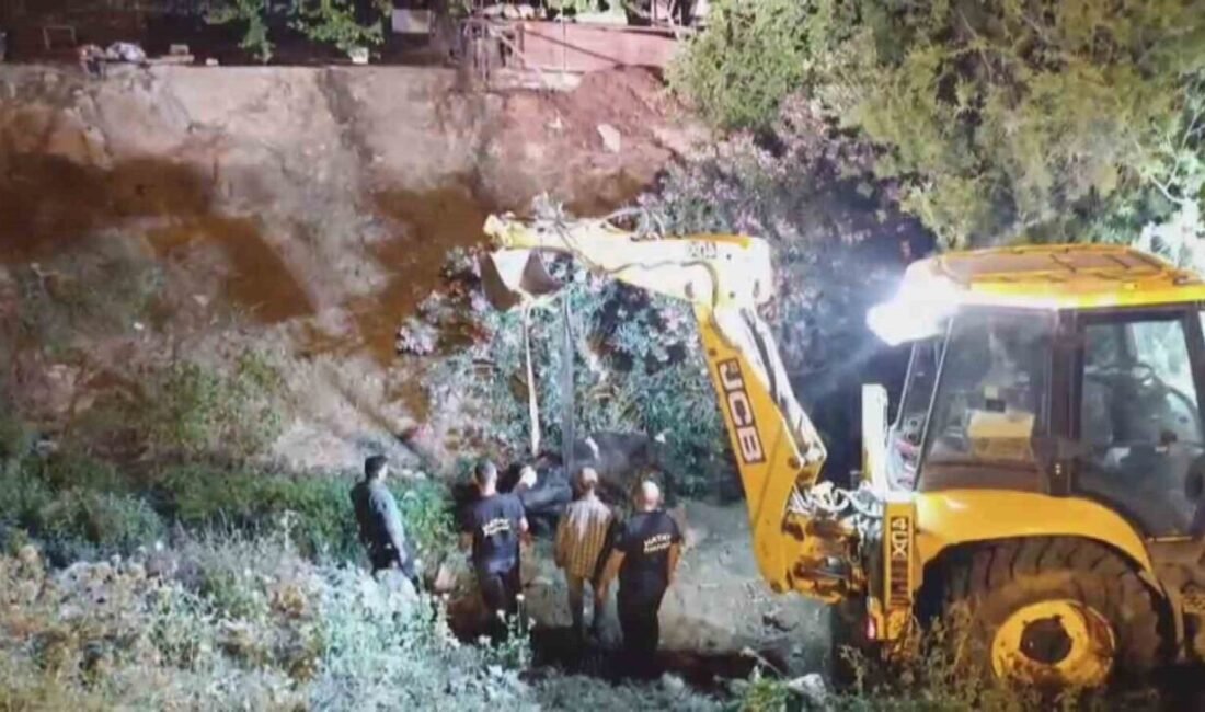 Hatay’da su kanalına düşerek çamura saplanan inek kepçeyle kurtarıldı. Kırıkhan