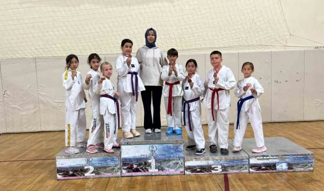 Isparta’da düzenlenen Okullar Arası Taekwondo İl Şampiyonası’na damga vuran Eğirdirli
