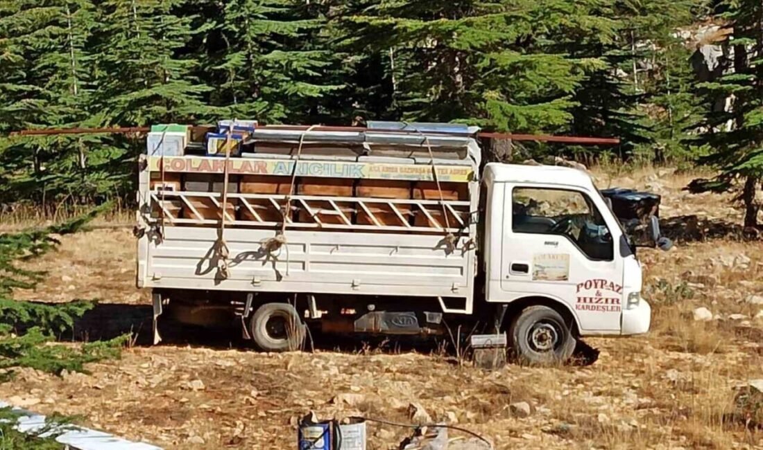 Antalya’nın Gazipaşa ilçesinde arıcılar, bal üretim sezonunu yaylalarda açtı. AYBİR
