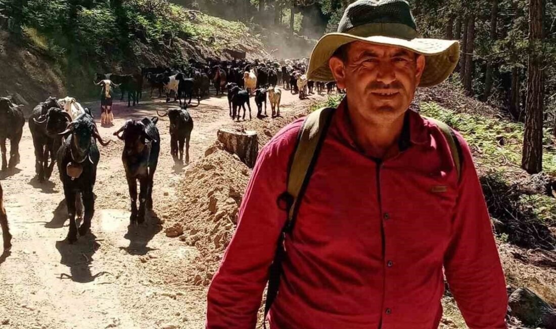 Antalya’nın Gazipaşa ilçesinde hayvancılıkla uğraşan Yörükler, geleneksel yayla göçünü başlattı.