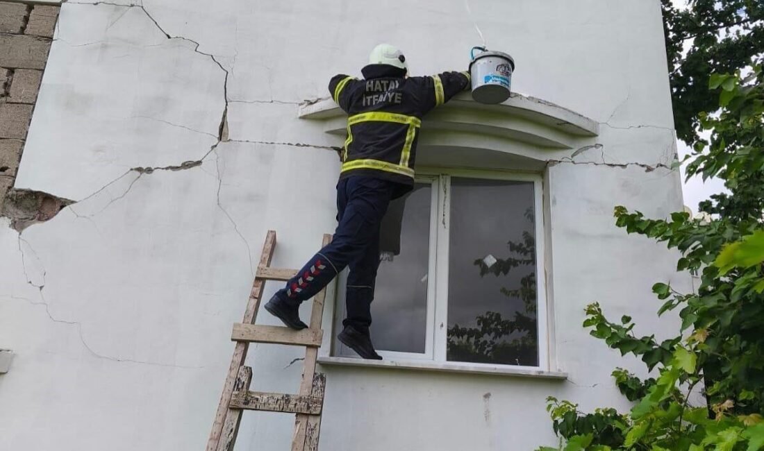 Hatay’da hasarlı binada mahsur kalan kediyi itfaiye ekipleri kurtardı. Samandağ