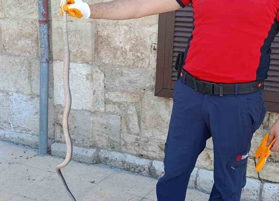 Mersin’in Tarsus ilçesi Şehitkerim Mahallesi’nde faaliyet gösteren özel bir hastanenin