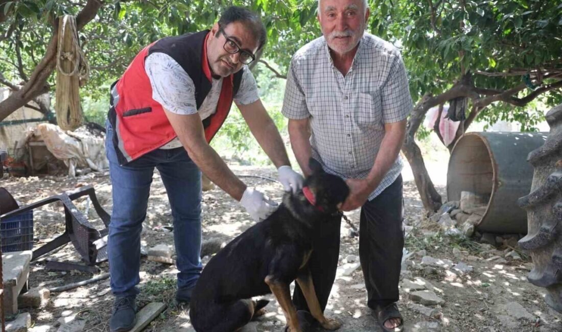 Hatay’da 4 mahalle kuduz vakası nedeniyle karantinaya alındı. Samandağ ilçesi