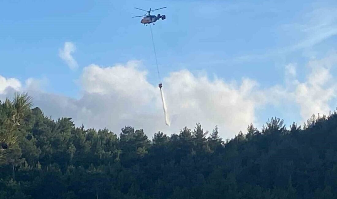 Hatay’ın Arsuz ilçesinde çıkan orman yangını, ekiplerin müdahalesiyle geniş alana