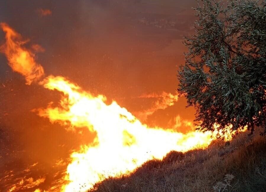 Hatay’da zeytinlik alanda çıkan ve fırtınanın etkisiyle kısa sürede büyüyen