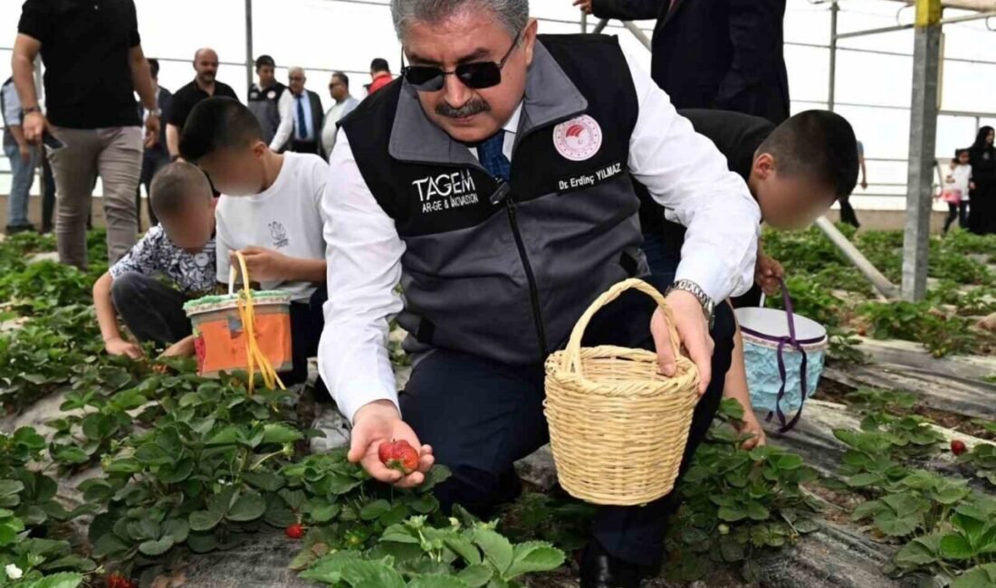 Osmaniye’de ‘Nesiller buluşuyor’ projesi kapsamında huzurevinde kalan büyükler ile koruma
