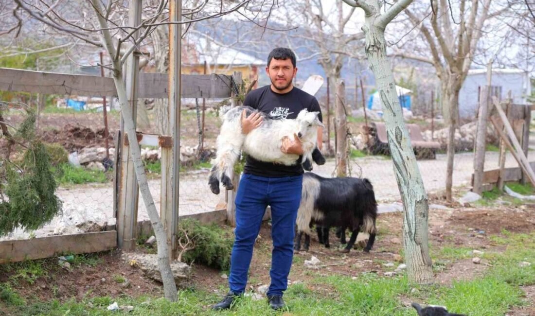 Kahramanmaraş’ın Bertiz bölgesinde, geçtiğimiz aylarda yaşanan don ve dolu olayları