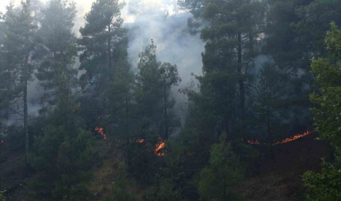Kahramanmaraş’ta ormanlık alanda yangın çıktı, ekiplerin müdahaleye başladığı bildirildi. Yangın,