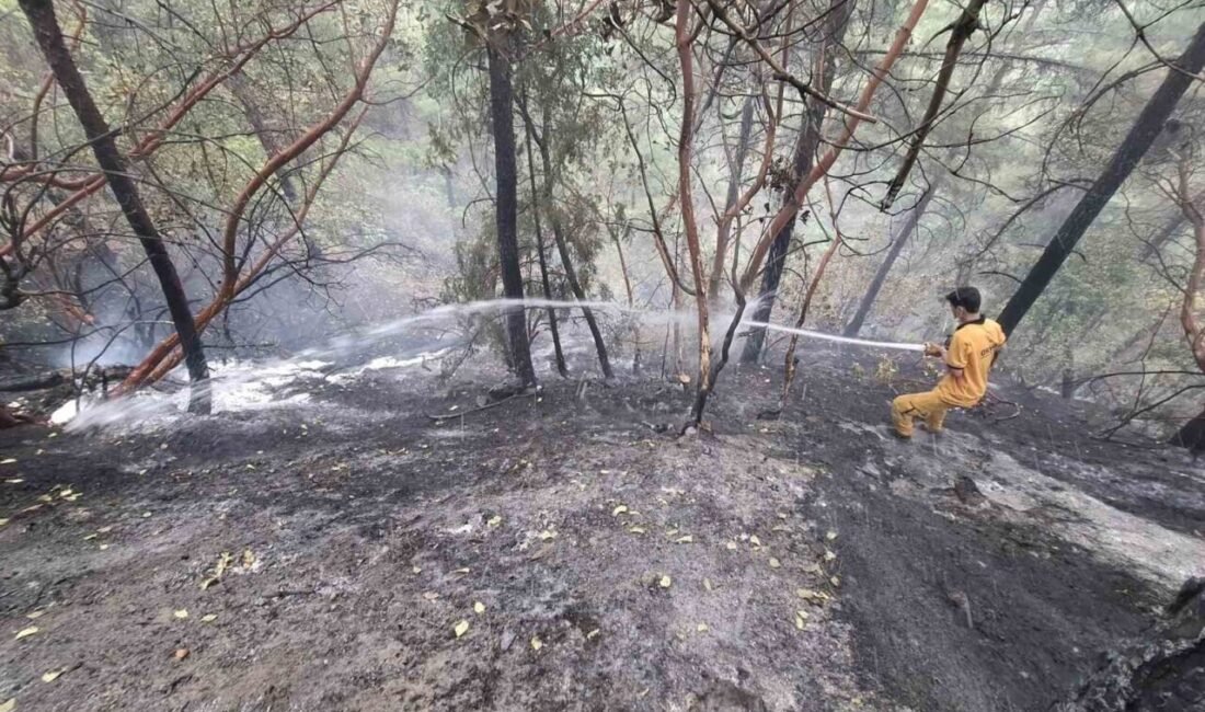 Kahramanmaraş’ta ormanlık alanda çıkan yangın kontrol altına alınırken 5,5 hektar