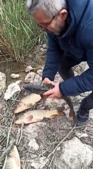 Isparta İl Tarım ve Orman Müdürlüğü ile Eğirdir Jandarma Asayiş