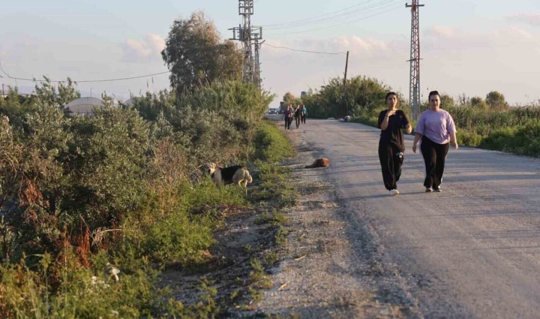 Hatay’da sokak köpeğinde ortaya çıkan kuduz vakası sonrası karantina uygulanan