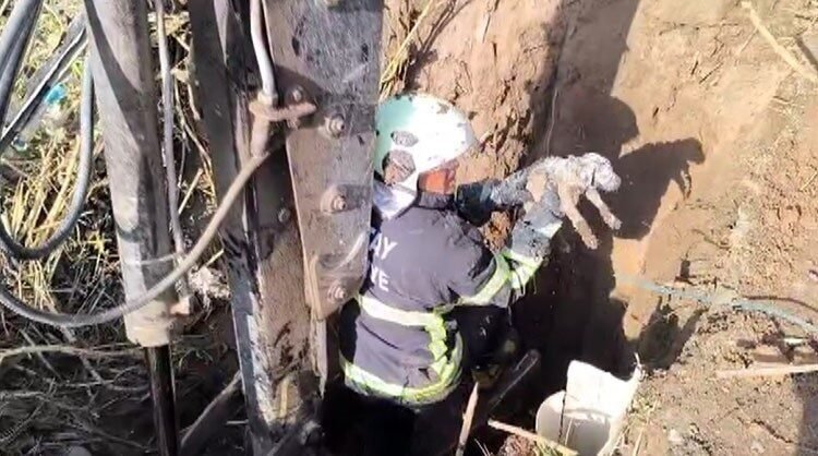 Hatay’ın Kumlu ilçesinde kuyuda mahsur kalan yavru köpeği itfaiye ekipleri