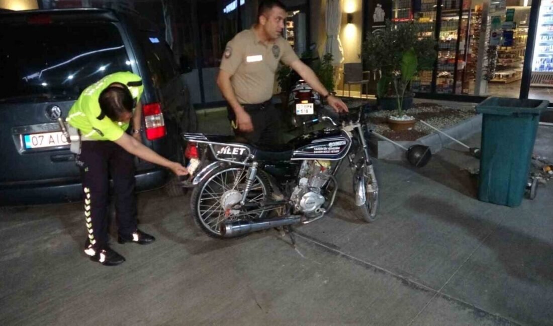 Manavgat’ta kendilerini Gece Kartalları olarak adlandıran Çarşı ve Mahalle Bekçileri