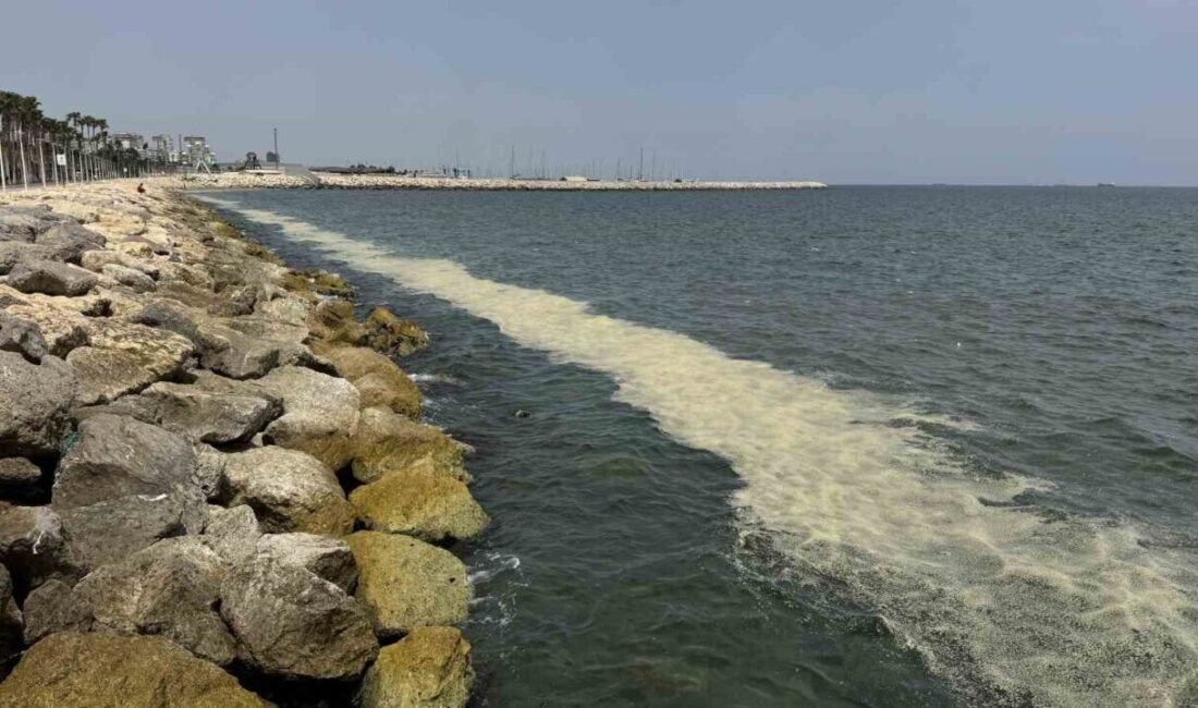 Mersin sahilinin çeşitli kesimlerinde son günlerde artış gösteren su yosunu