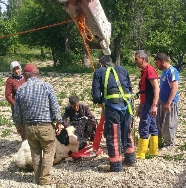 Mersin’in Gülnar ilçesinde ahırdan kaçarak 10 metrelik su kuyusuna düşen