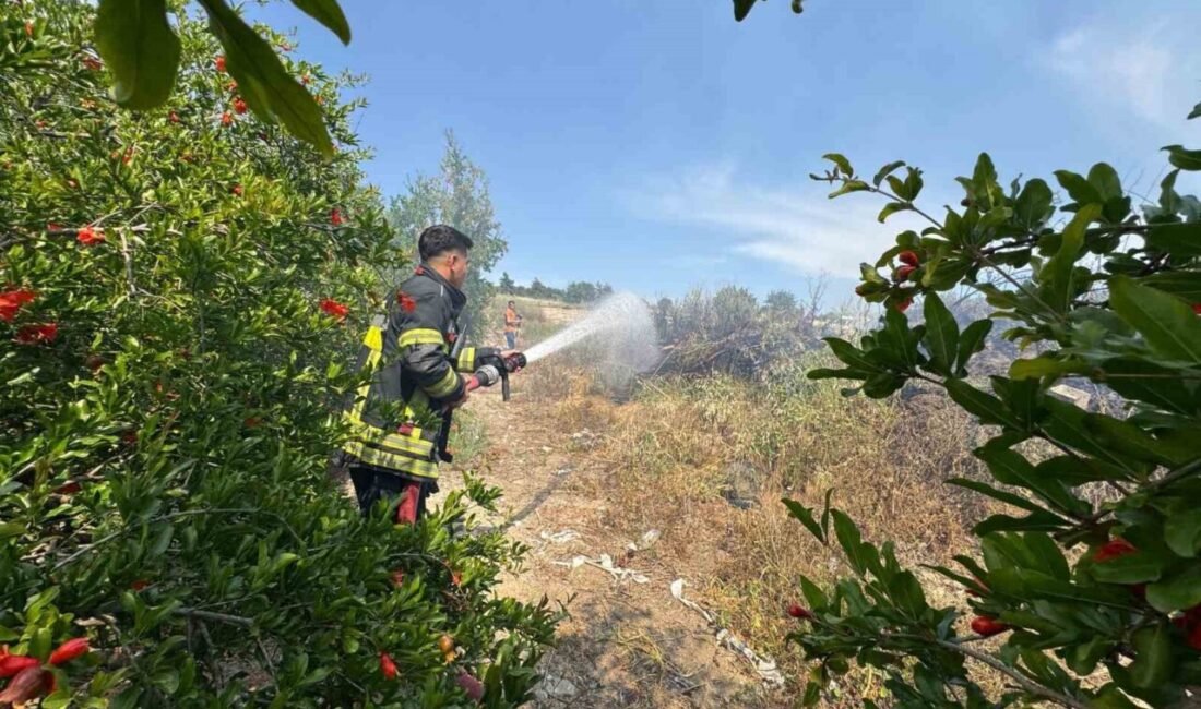 Mersin’de çalılık alanda çıkan yangın, itfaiye ekiplerinin müdahalesiyle nar bahçesine