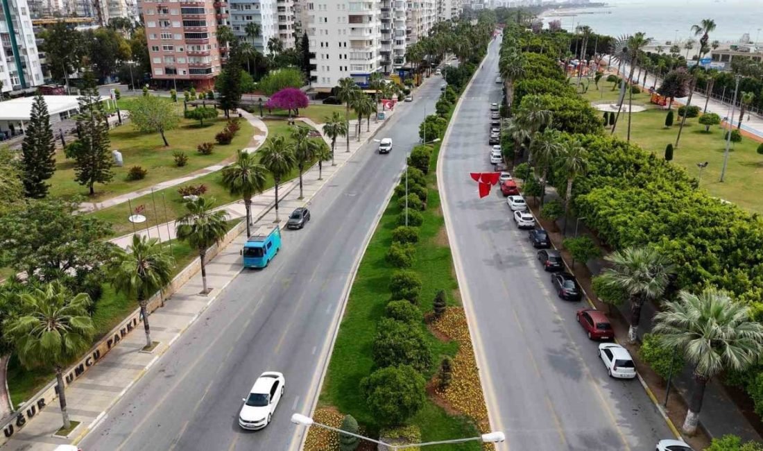 Mersin Büyükşehir Belediyesi Park ve Bahçeler Dairesi Başkanlığı bünyesindeki ‘Fidanlık