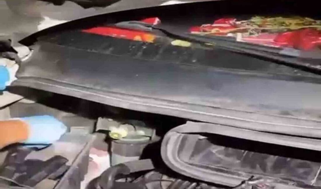 Hatay’da polis ekipleri tarafından durdurulan bir araçta yapılan aramada farklı