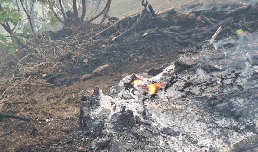 Kahramanmaraş’ta ormanlık alanda çıkan yangına 5 helikopter ve 110 personelle