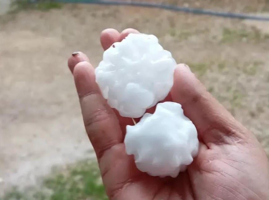 Osmaniye’de akşam saatlerinde etkili olan sağanağın ardından bazı köylerde ceviz