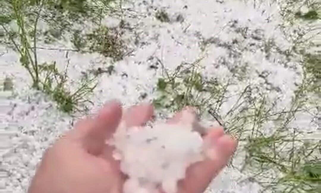 Osmaniye’nin Kadirli ilçesinde dolu yağışı sonrası çevre beyaza büründü. Kadirli