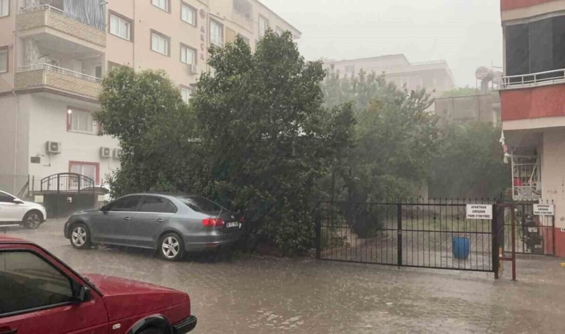 Osmaniye’de yağmurla birlikte etkili olan fırtına nedeniyle Düziçi ilçesinde ağaçlar