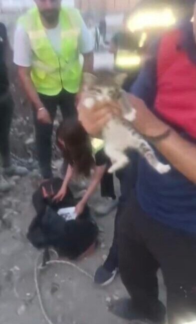 Osmaniye’de inşaatta bulunan fore kazık kuyusuna düşen yavru kedi itfaiye