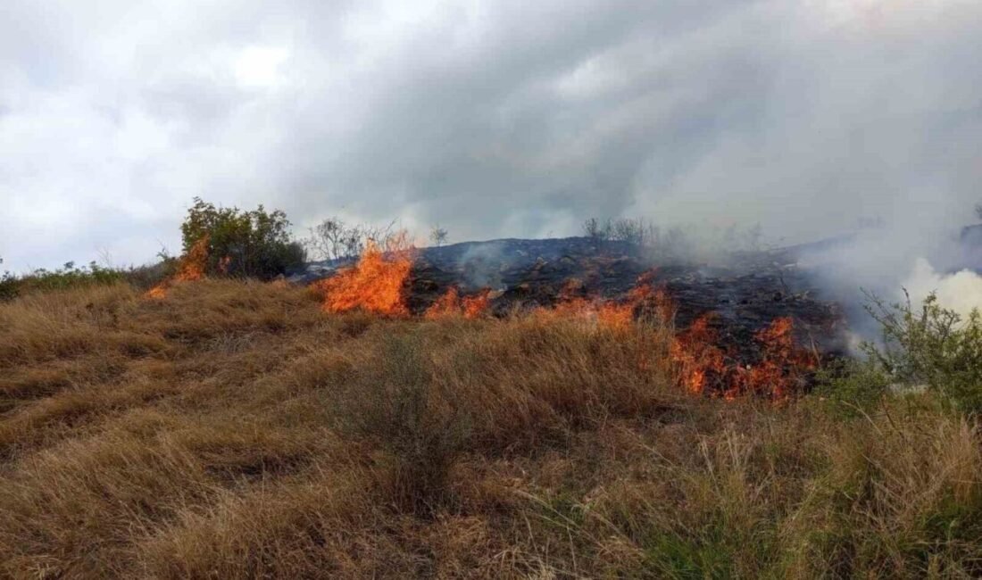 Hatay’ın Samandağ ilçesinde otluk alanda çıkan yangın, ekiplerin havadan ve